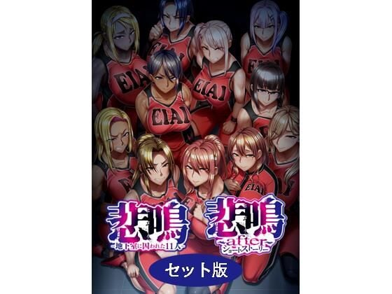 悲鳴 〜after〜 ショートストーリー セット版