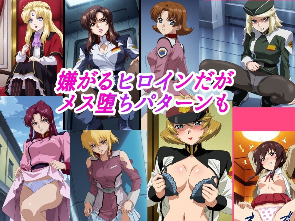 （ガン●ムSE●D）嫌な顔されながらおパンツ見せて中出しセックスで孕ませたい 3 ページ目