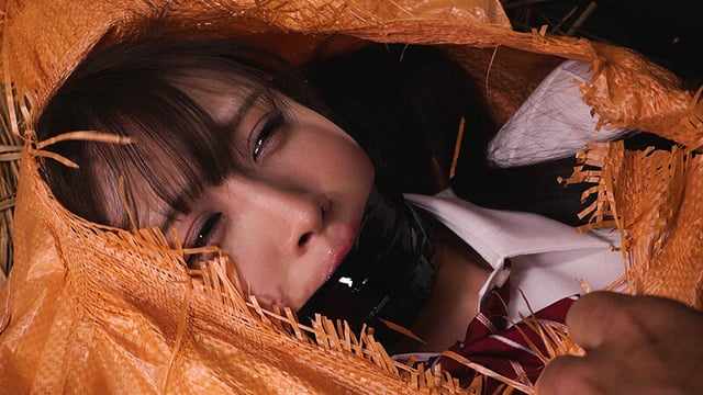 〆豚小屋 女体家畜PLANT 天音かんな 3