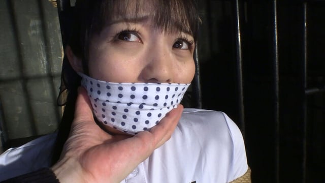 囚われの緊縛令嬢 DIDコレクション3 1