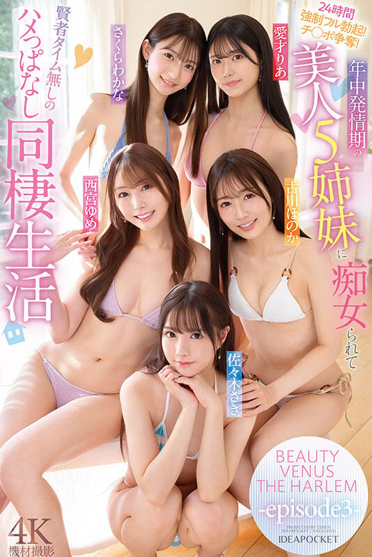 BEAUTY VENUS THE HARLEM-episode3- 24時間強●フル勃起！チ○ポ争奪！年中発情期の美人5姉妹に痴女られて賢者タイム無しのハメっぱなし同棲生活 西宮ゆめ 古川ほのか さくらわかな 佐々木さき 愛才りあ 8