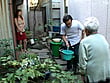 色情理髪館 風見京子 4