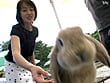 貴婦人野外露出 3