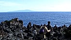 伊豆半島近親旅情 今日、叔母を抱きます。時任明菜 5