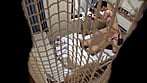 おばさんナースは患者のチ○ポが大好物!? 15
