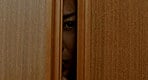 義父と姉妹 桃汁味くらべ 11