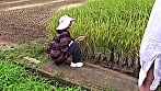 田舎暮らしでナンパ経験皆無の男慣れしていないおばさんを狙い声をかけ、本気で口説いて脱がせたら予想以上にキレイな身体だった 14人4時間 1