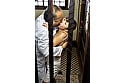 夫が入院中の1週間、元薬剤師の義父のキメキス姦で完堕ちした巨乳妻―媚薬と接吻中毒になったわたし― 我妻里帆 1