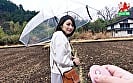 ママ友と日帰り不倫露出旅 本田瞳 2