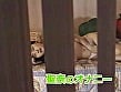 VINLハウスの果実たち Vol.5 12