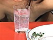 【 AI リマスター版 】お食事中に顔射して食ザー 19
