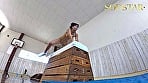 星乃莉子 全裸わ〇せつ十種競技 10
