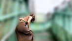 るかちゃんとリモバイ散歩！街中で絶頂恥辱プレイ！ 17