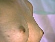 新・猫のように 野原夕里香・飛鳥いずみ 3