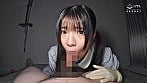 ゴム手袋図鑑 09 ・フェラ・手コキ・素人女子12名 1
