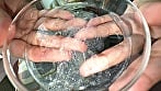 【個人撮影】加護まりの舌ブラシで「汚舌苔」採取 15