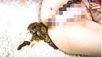 崩れるア〇ル 止まらない限界突破のひねり出る大脱糞 7