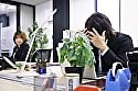 愛は食べ頃まで寝かせて。 Case3 1