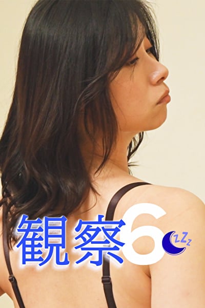 観察 6 つばき