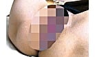 旦那とご無沙汰の欲求不満の人妻たち すぐにでもセックスがしたい ヤリモクの女ざかり 8人の性欲処理生現場ノンフィクション 5時間デラックス 5
