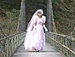 大人のAVベストセレクション vol.50 1990年代名作ドラマ編6 10作品本編まるごと収録 1