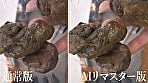 【AIリマスター版】プレミア美人うんち 参 4
