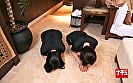 脱毛サロンの美人スタッフに難癖つけてウザいほど中出ししまくったR動画 2件目 13