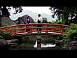 日本発情列島 ONANIE百態 15